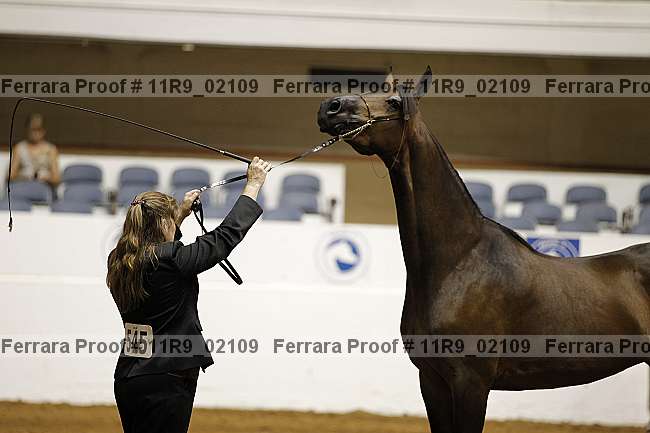 Proof 11r9_02109