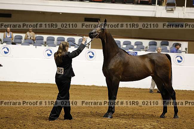 Proof 11r9_02110