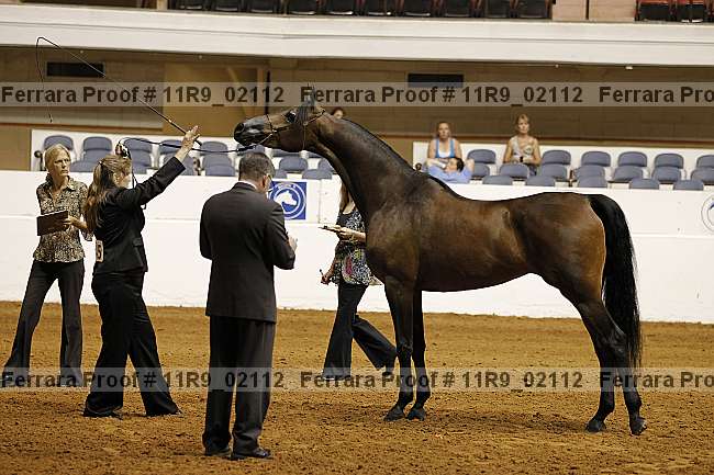 Proof 11r9_02112