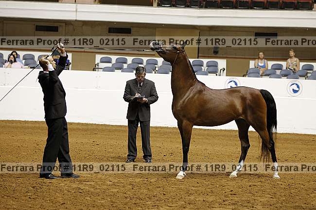 Proof 11r9_02115