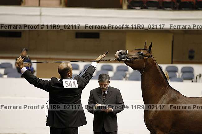 Proof 11r9_02117