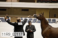 11r9_02117 proof