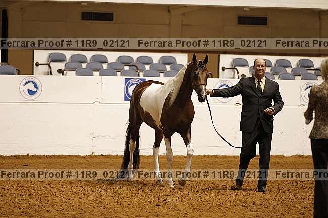 Proof 11r9_02121