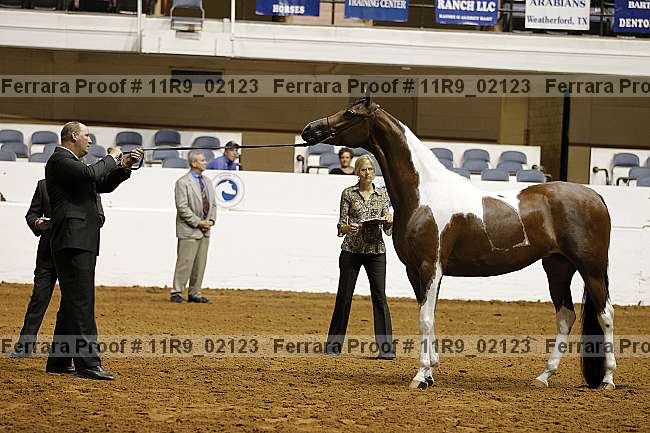 Proof 11r9_02123