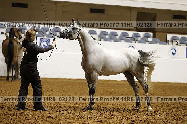 Proof 11r9_02128