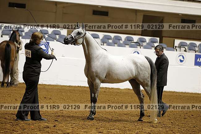 Proof 11r9_02129