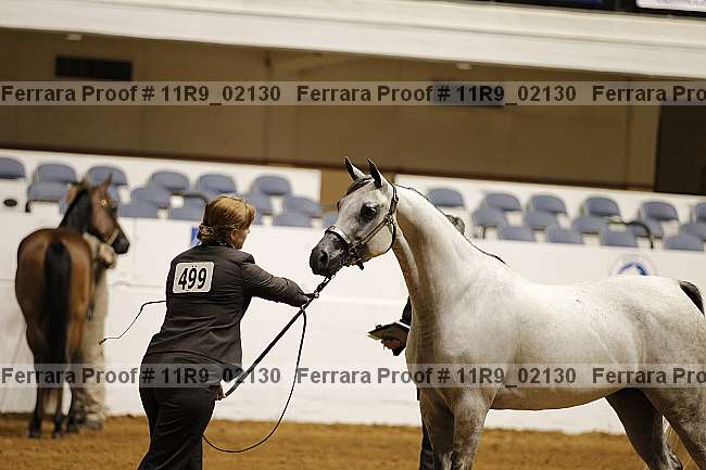 Proof 11r9_02130