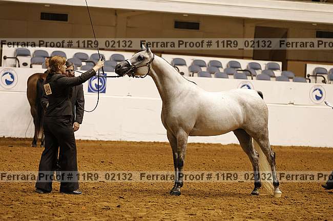 Proof 11r9_02132