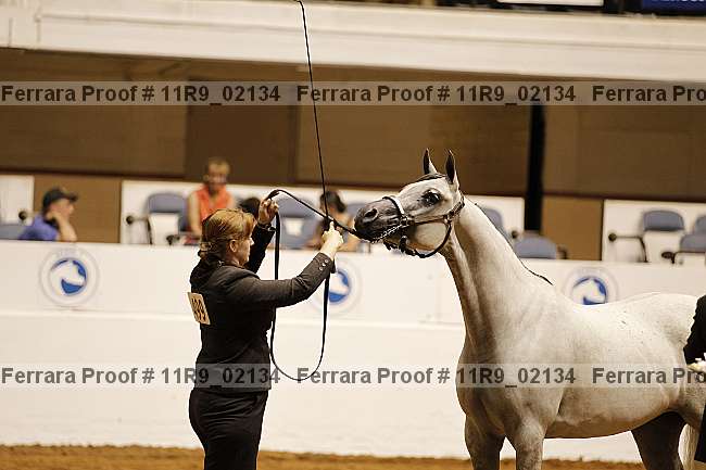 Proof 11r9_02134