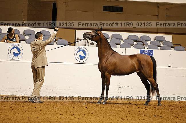 Proof 11r9_02135