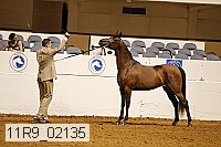 11r9_02135 proof