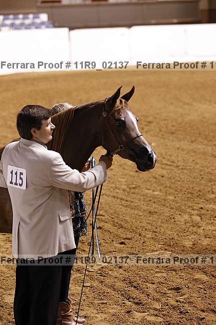 Proof 11r9_02137