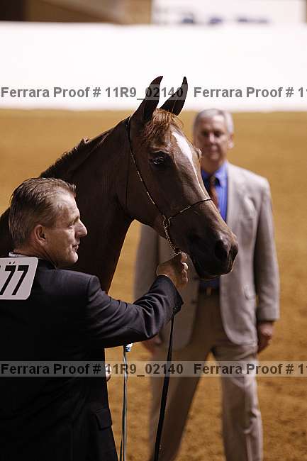 Proof 11r9_02140