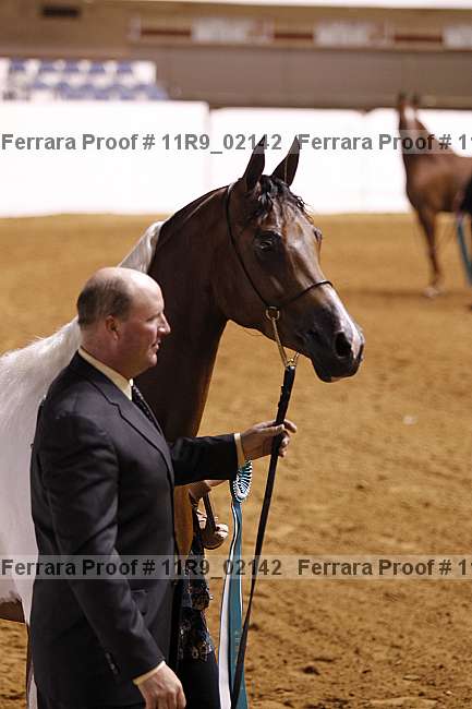 Proof 11r9_02142