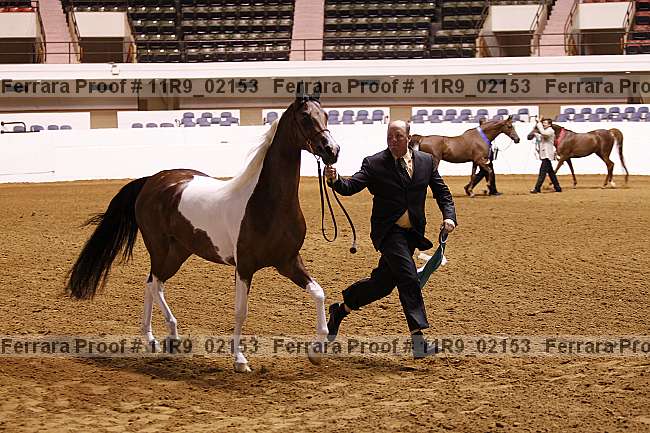 Proof 11r9_02153