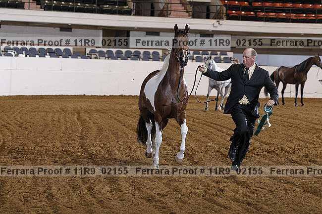 Proof 11r9_02155