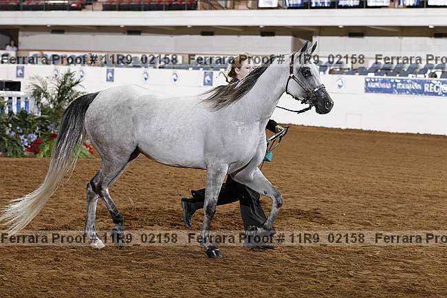Proof 11r9_02158