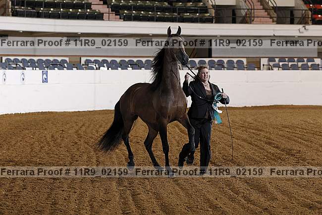 Proof 11r9_02159
