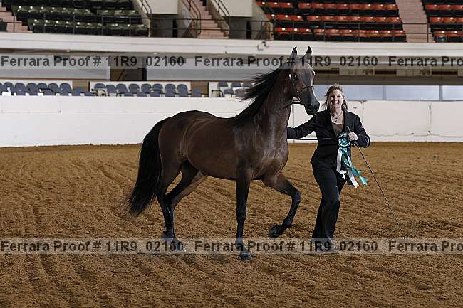 Proof 11r9_02160