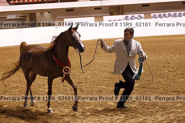 Proof 11r9_02161