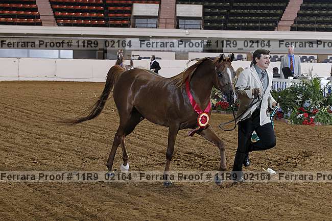Proof 11r9_02164