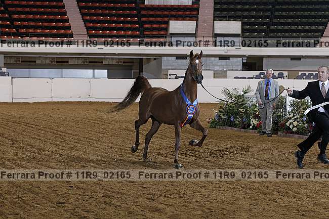 Proof 11r9_02165