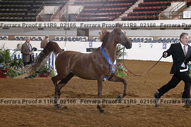 Proof 11r9_02166