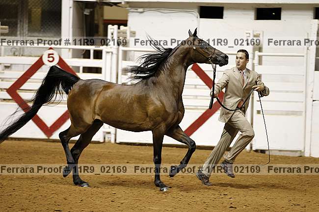 Proof 11r9_02169