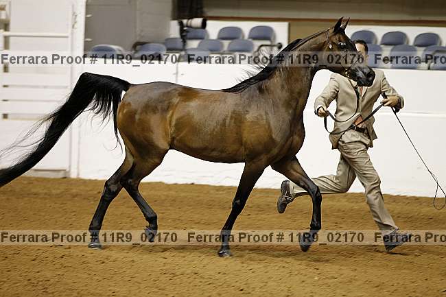 Proof 11r9_02170