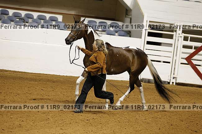 Proof 11r9_02173