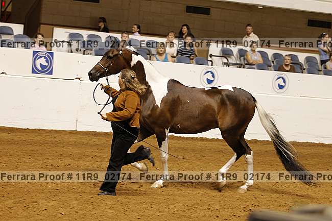 Proof 11r9_02174