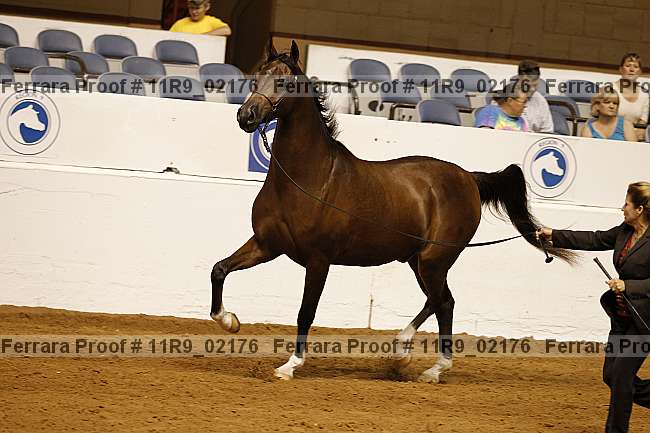 Proof 11r9_02176