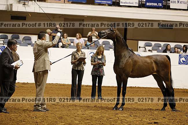 Proof 11r9_02178