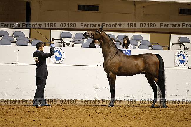 Proof 11r9_02180