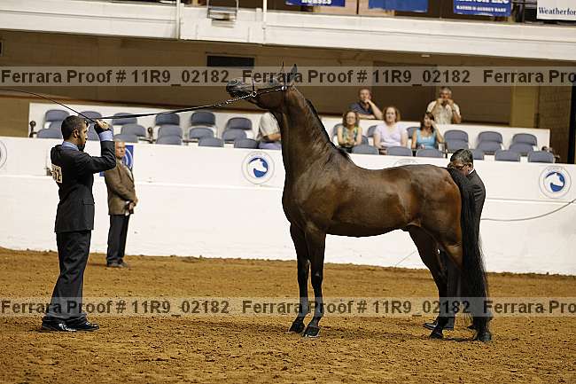 Proof 11r9_02182