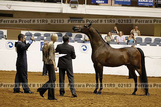 Proof 11r9_02183