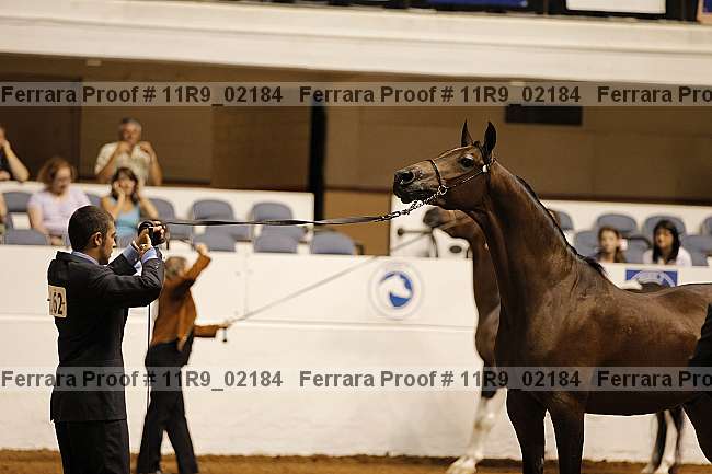 Proof 11r9_02184