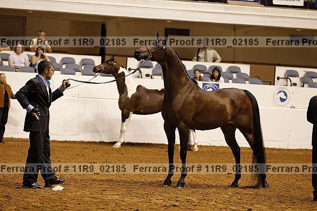 Proof 11r9_02185