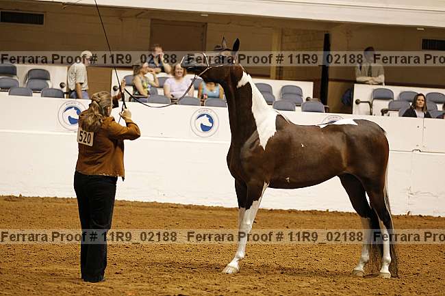Proof 11r9_02188