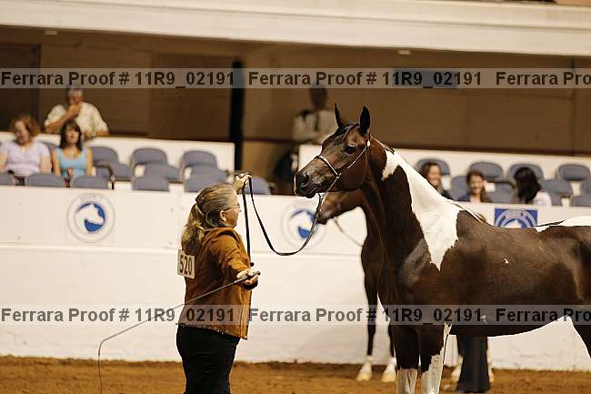Proof 11r9_02191