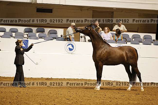 Proof 11r9_02192