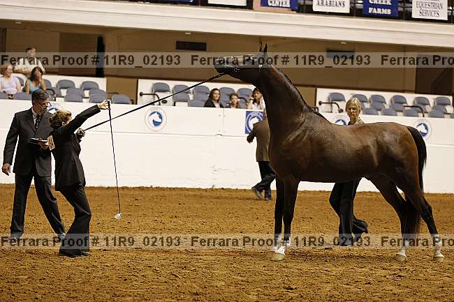 Proof 11r9_02193