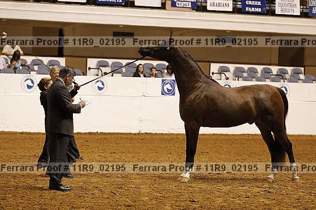 Proof 11r9_02195