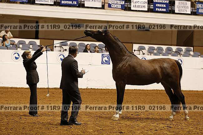 Proof 11r9_02196