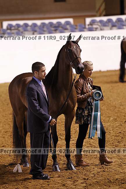 Proof 11r9_02197