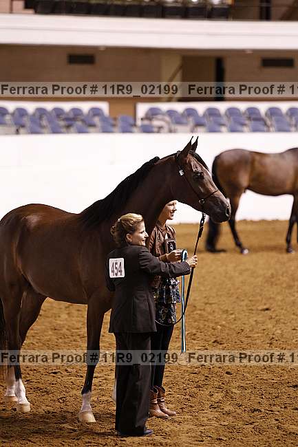 Proof 11r9_02199