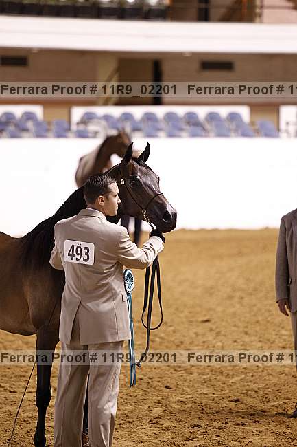 Proof 11r9_02201