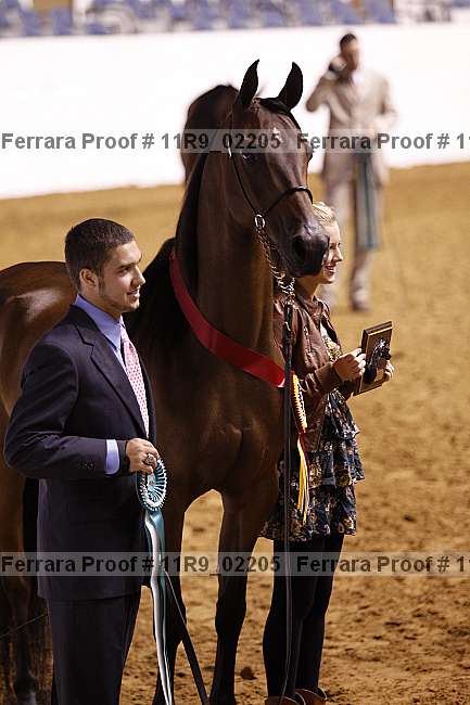 Proof 11r9_02205