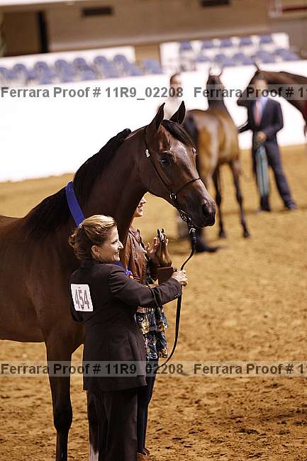 Proof 11r9_02208