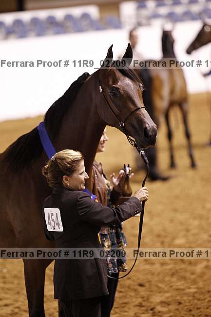Proof 11r9_02209